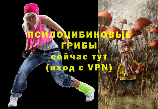 PSILOCYBIN Нефтекумск