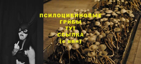 МДПВ Покровск