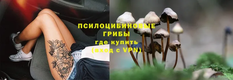 mega вход  Кропоткин  Псилоцибиновые грибы MAGIC MUSHROOMS 