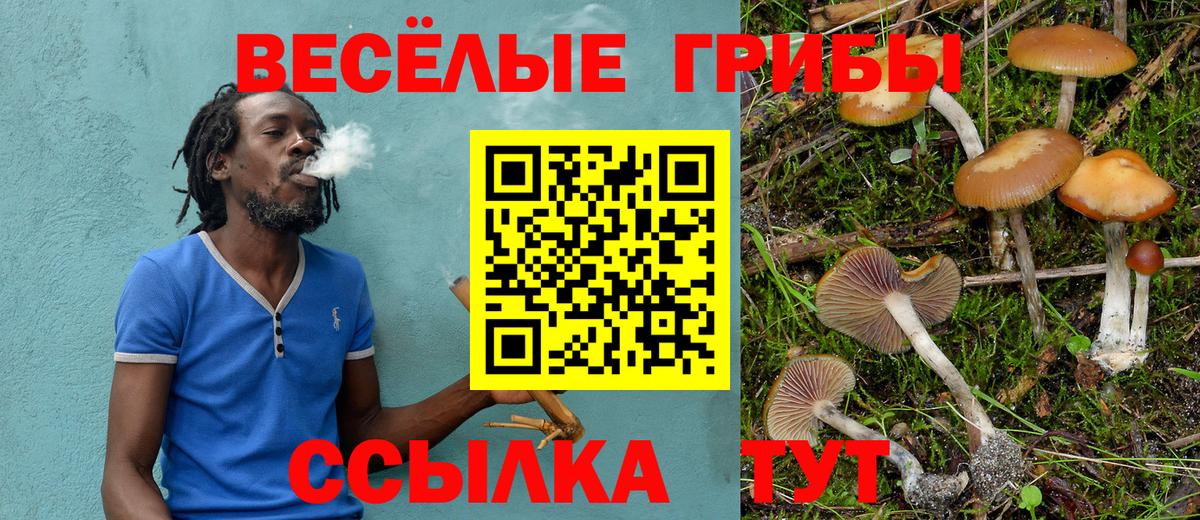 Галлюциногенные грибы мицелий  Кропоткин 